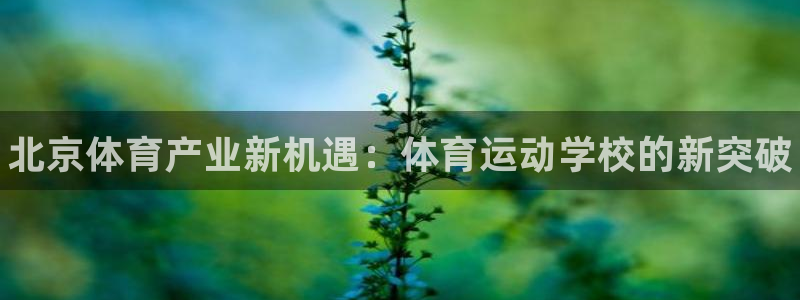 米兰体育官网下载娱乐：北京体育产业新机遇：体育运动学