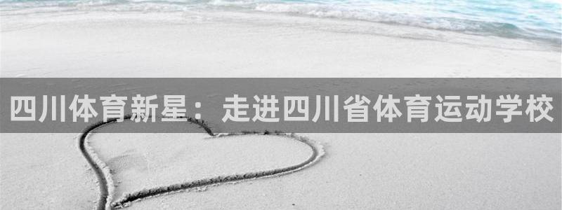 米兰体育官方正版app新能源：四川体育新星：走进四川