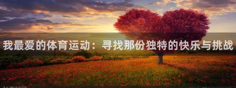 米兰体育官网下载软件：我最爱的体育运动：寻找那份独特