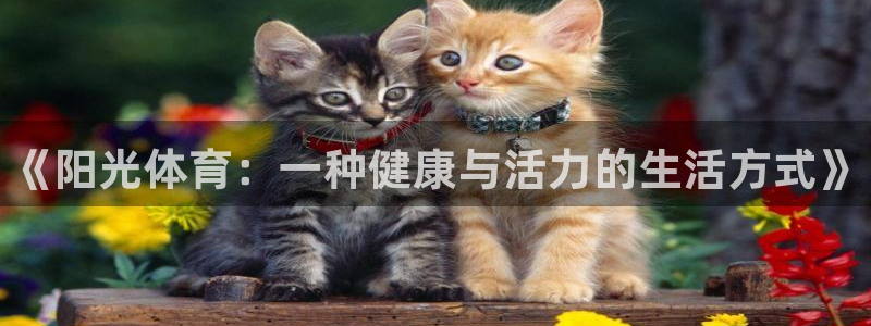 米兰体育官方正版app娱乐下载：《阳光体育：一种健康与活力的