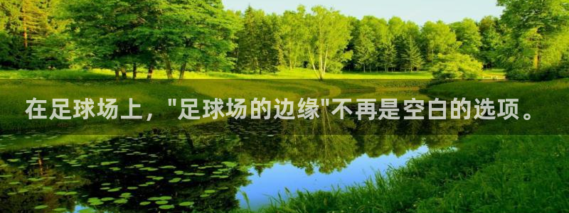米兰体育官方正版app官网：在足球场上，\