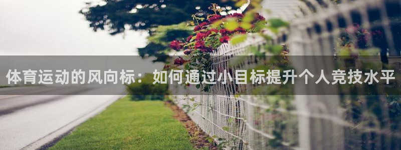 米兰体育官方正版app娱乐首页网站大全：体育运动的风向标：如