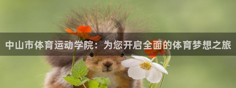 海南米兰体育官网下载：中山市体育运动学院：为您开启全面的体育
