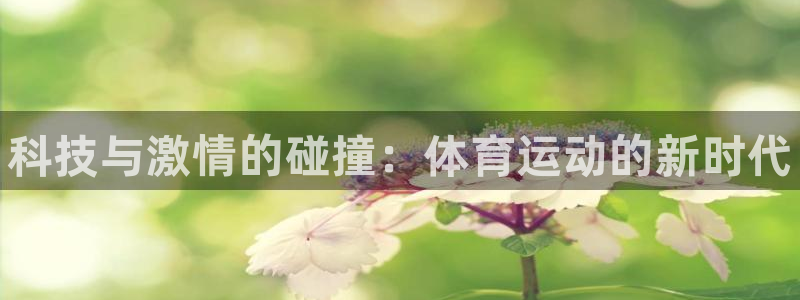 米兰体育官方正版app娱乐40996：科技与激情的碰