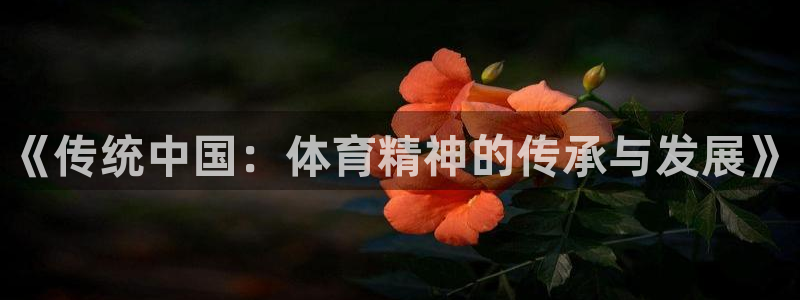米兰体育官网下载招商电话是多少号码