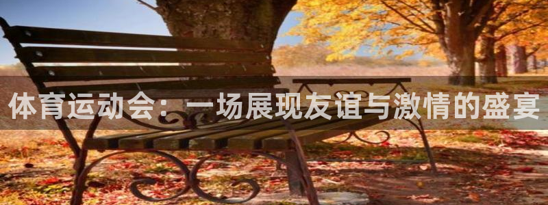 米兰体育官网下载平台注册要钱吗：体育运动会：一场展现
