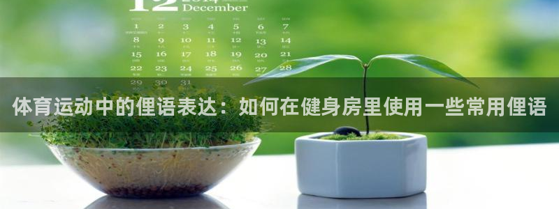 米兰体育官网下载平台APP：体育运动中的俚语表达：如
