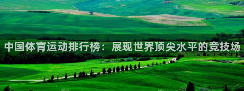 米兰体育官网下载平台假的吗是真的吗吗：中国体育运动排行榜：展