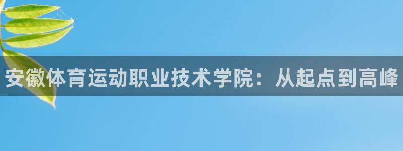 米兰体育官方正版app新能源