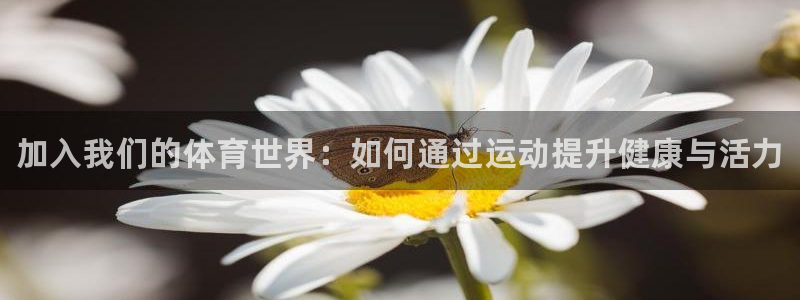 米兰体育官网下载平台