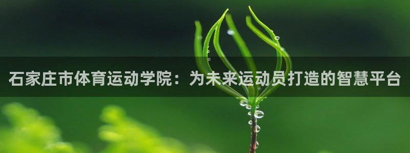 米兰体育官网下载招商电话地址查询