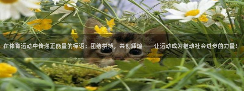 米兰体育官方正版app新能源：在体育运动中传递正能量的标语：