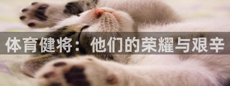 米兰体育官网下载平台APP：体育健将：他们的荣耀与艰辛