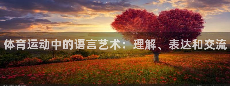 德国米兰体育官方正版app集团：体育运动中的语言艺术：理解、