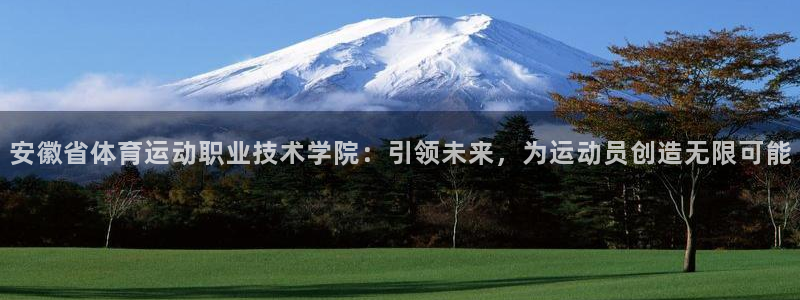 米兰体育官网下载是干嘛的公司：安徽省体育运动职业技术学院：引