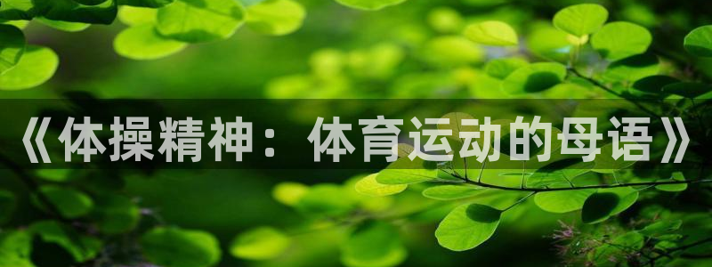 米兰体育官网下载平台假的吗是真的吗吗：《体操精神：体育运动的